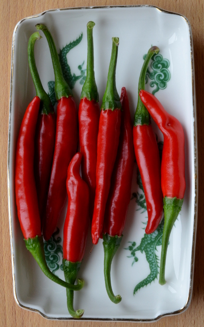 Bhaktapur chillies