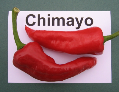 chimayo chillies