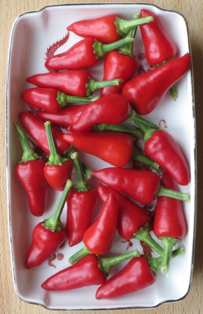 pickling peppers