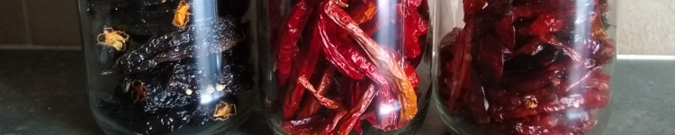 Assorted dried chillies